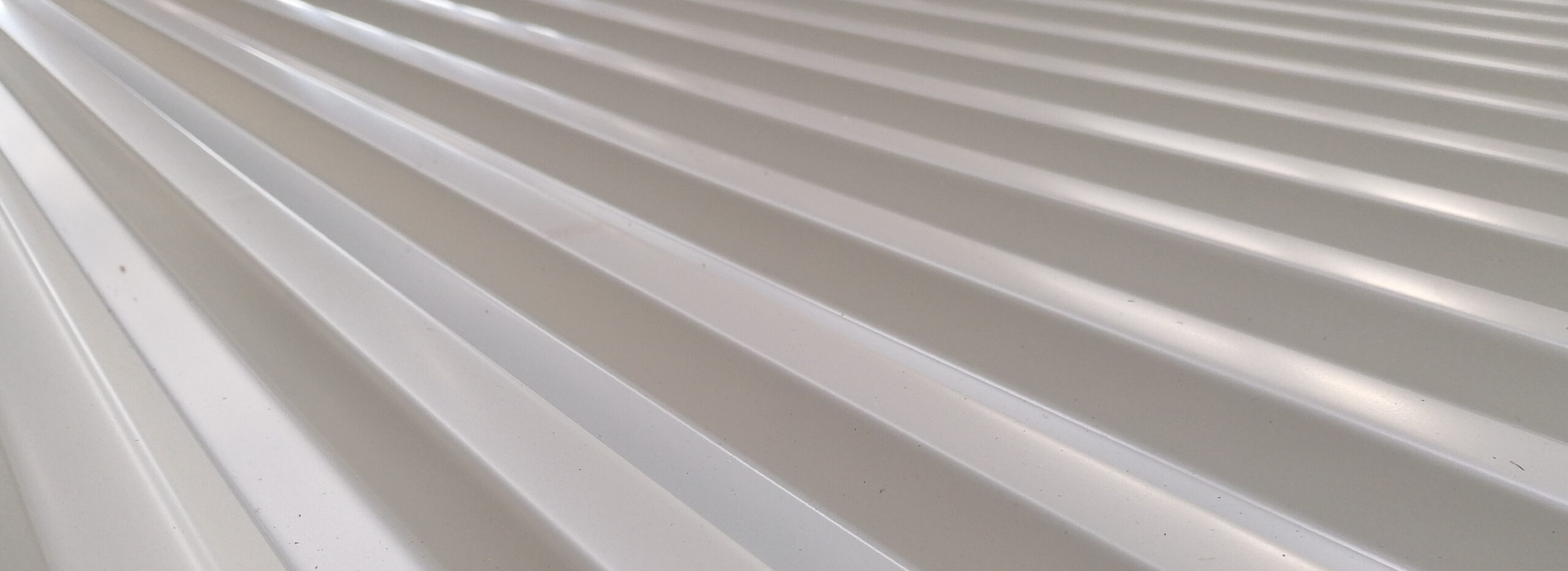 GENUS 2000_slider foto2