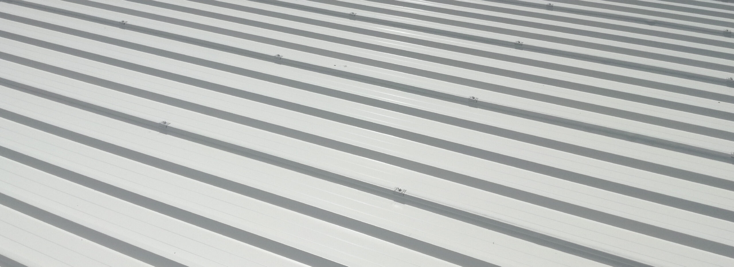 GENUS 5_slider foto2